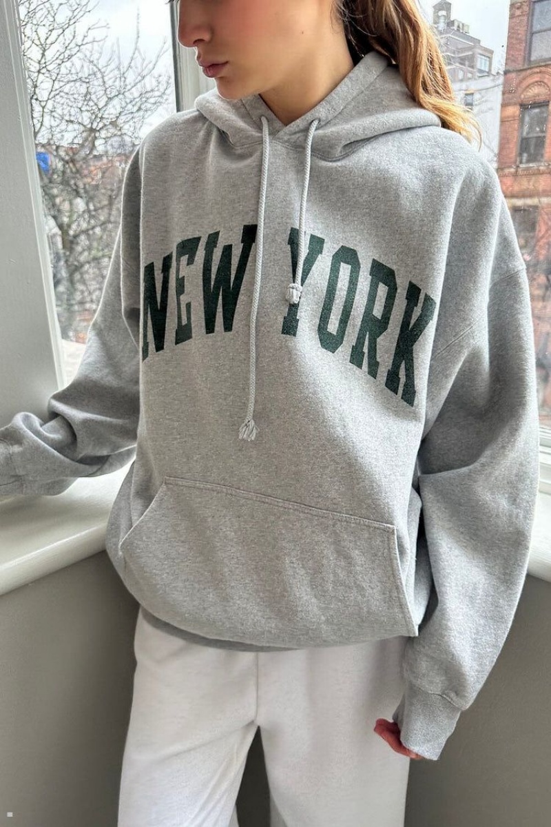 Sweat a Capuche Brandy Melville Christy New York Grise | WBS-10367361